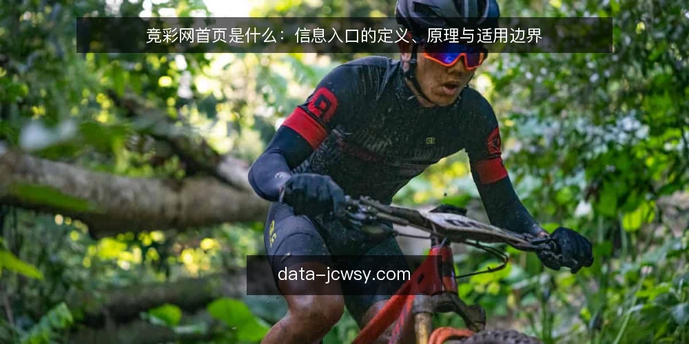 竞彩网首页是什么：信息入口的定义、原理与适用边界 — 判断标准：什么样的首页算合格的信息入口 配图